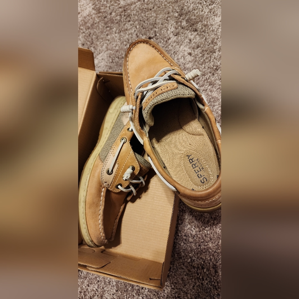 Sperry shoes